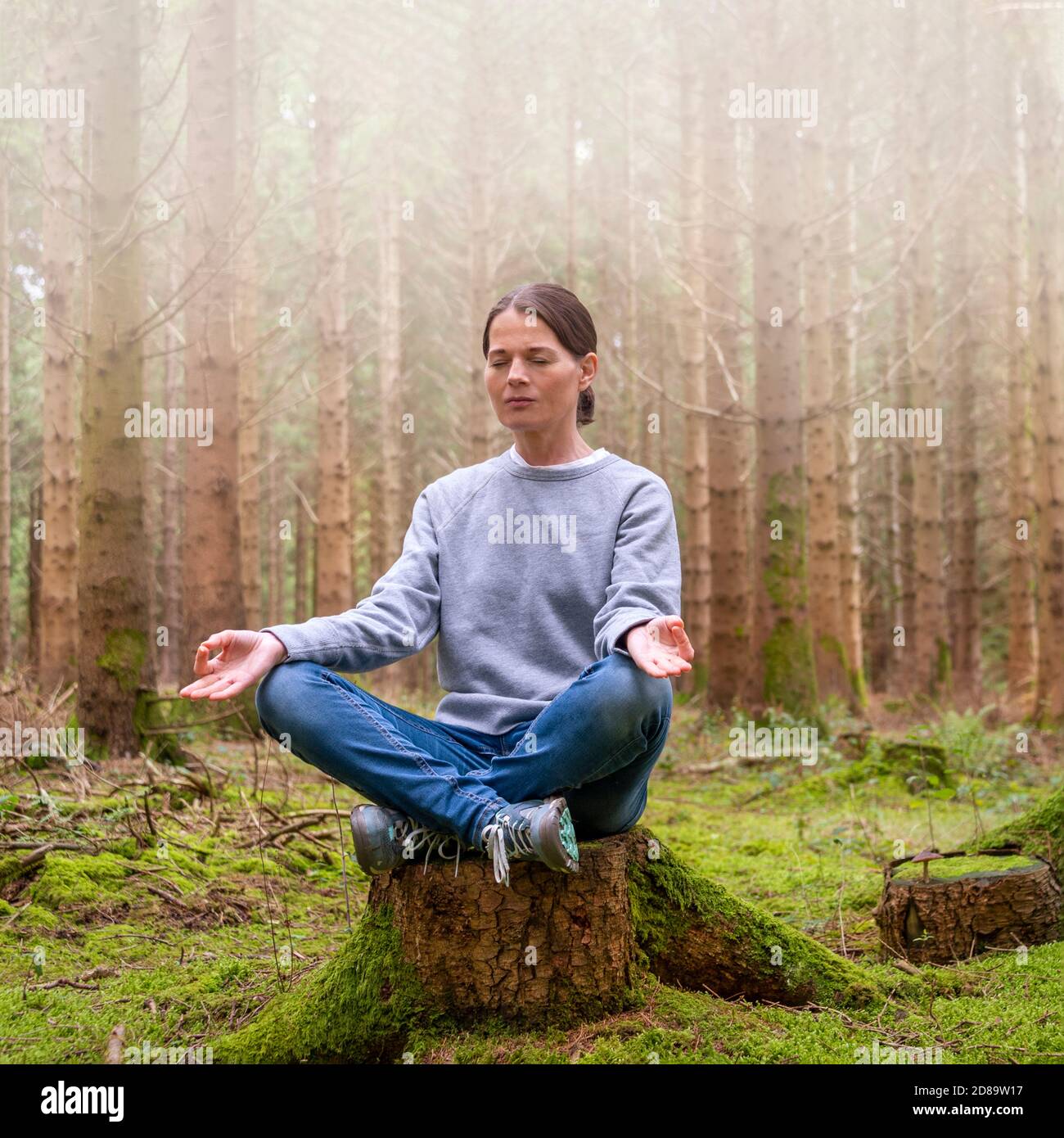 Frau sitzt auf einem Baumstumpf in einem Wald, meditiert und ruhig, weg von einem hektischen Lebensstil. Stockfoto