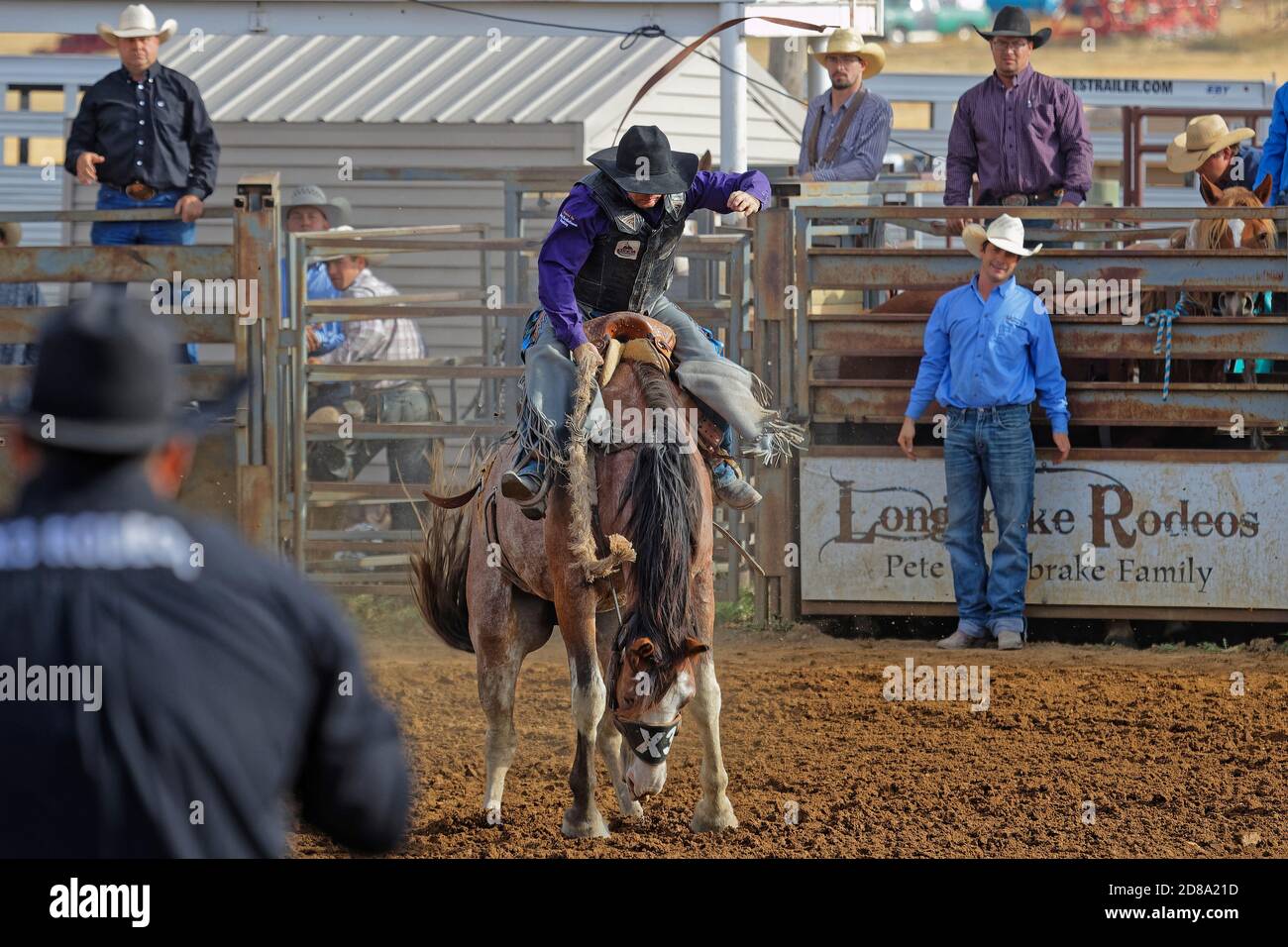 Westliche dressur Fotos und Bildmaterial in hoher Auflösung Alamy