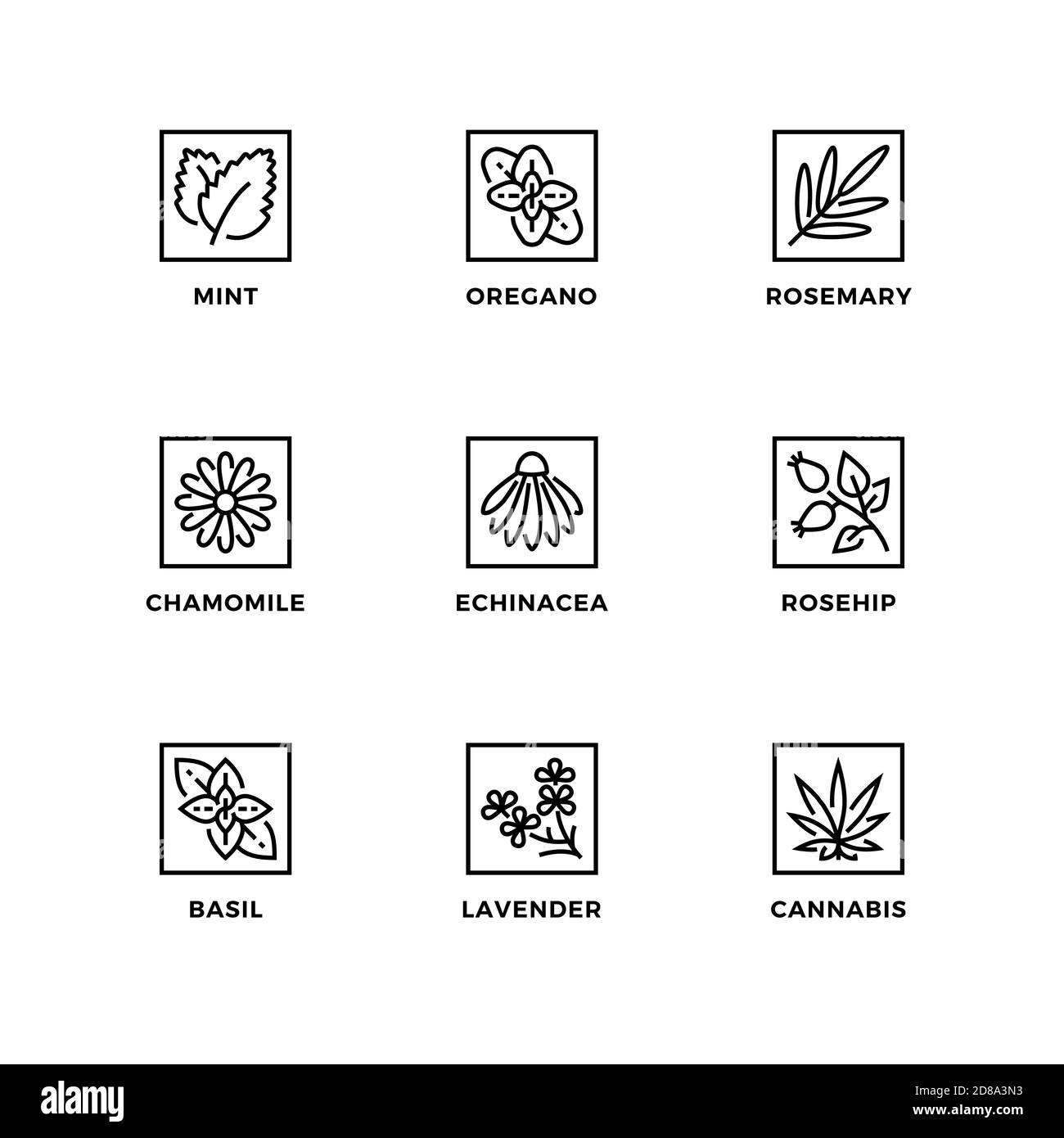 Vektor-Set von Design-Elementen, Logo-Design-Vorlage, Symbole und Abzeichen für Natur Kräuter. Liniensymbole gesetzt, bearbeitbare Kontur. Stock Vektor Vektor-Set von Design-Elementen, Logo-Design-Vorlage, Symbole und Abzeichen für Natur Kräuter. Liniensymbole gesetzt, bearbeitbare Kontur. Stock Vektor