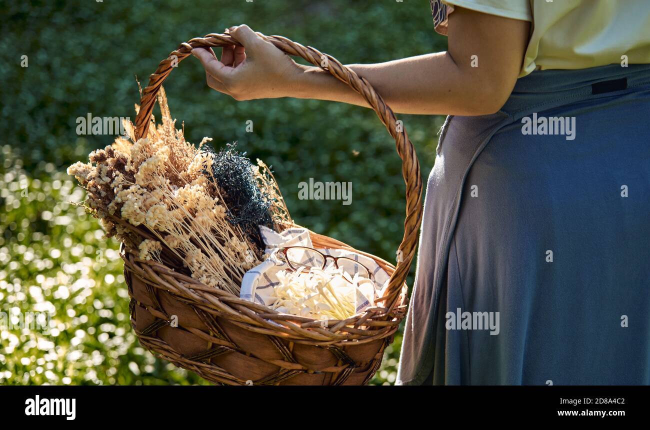 Cropped Ansicht Hand der Frau hält den Korb mit Blume An einem sonnigen Tag Stockfoto