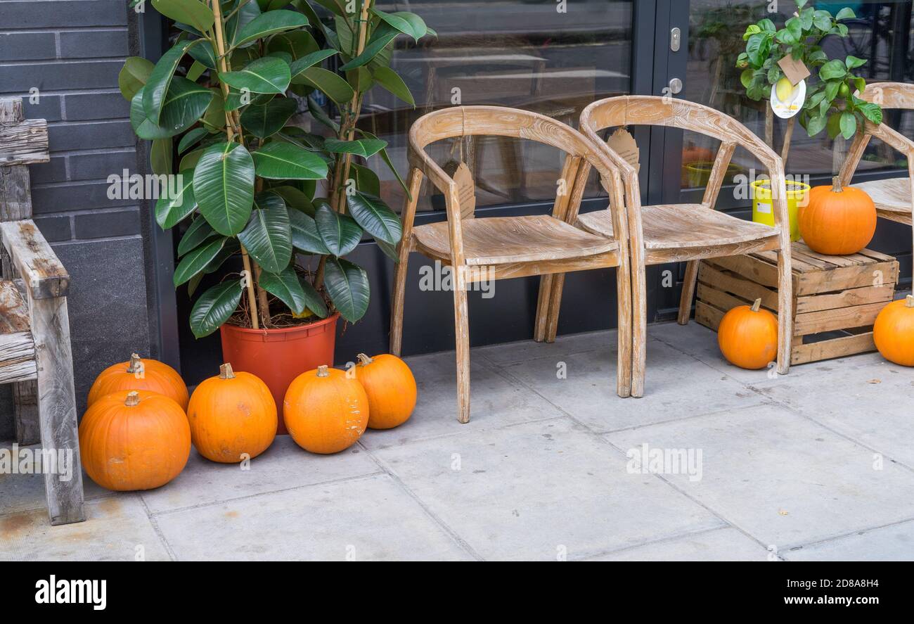 Eine Auswahl von Kürbissen um Holzstühle und Außenanlage Töpfe Stockfoto