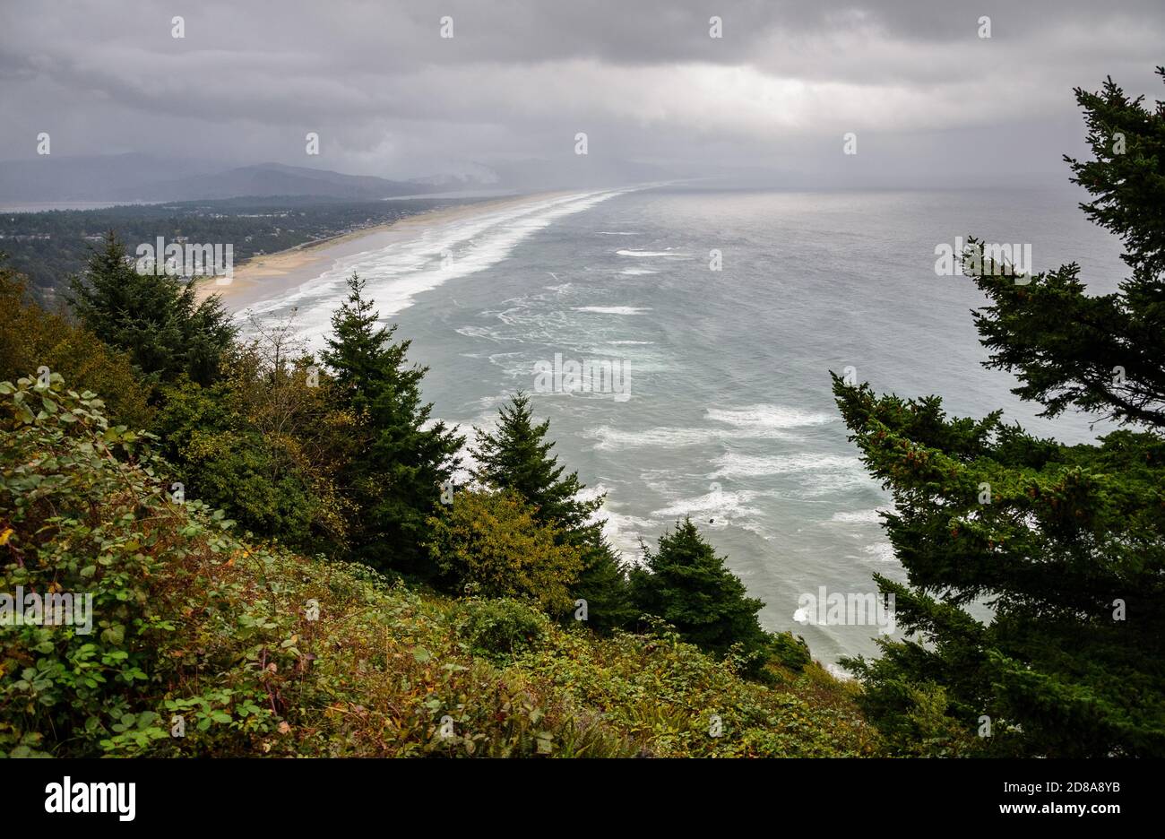 Oswald West State Park Stockfoto