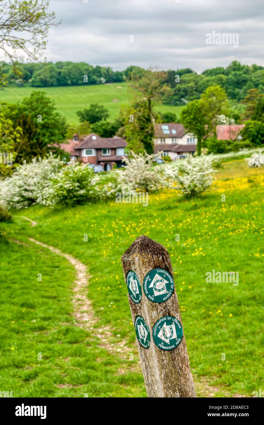 Ein freizügiger Brückenweg auf Farthing Down. Teil des Londoner Grüngürtels. Stockfoto