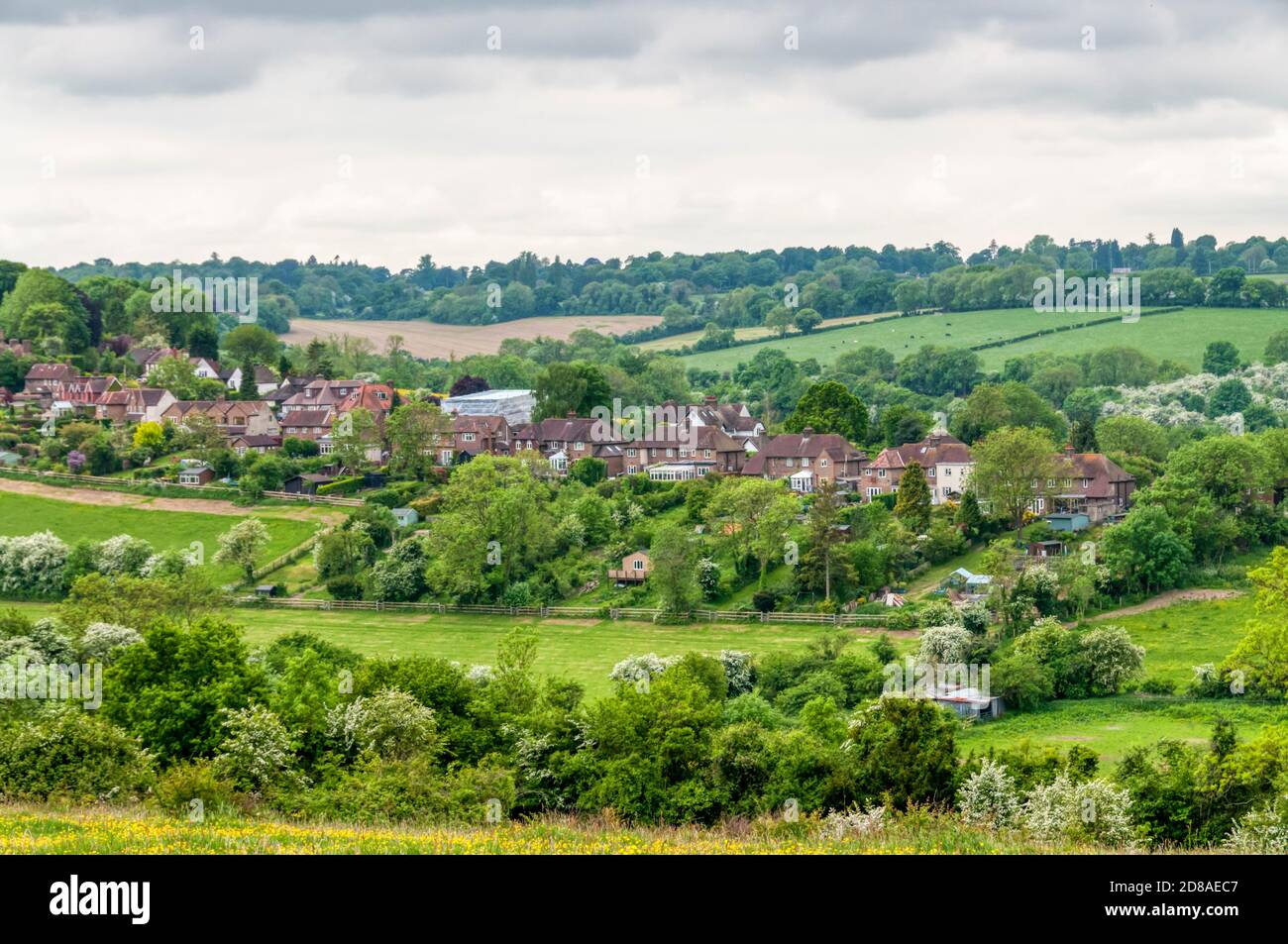 Farthing Downs, ein Freigelände im Besitz der City, das Teil des Grüngürtelgrundstücks südlich von London ist. Stockfoto