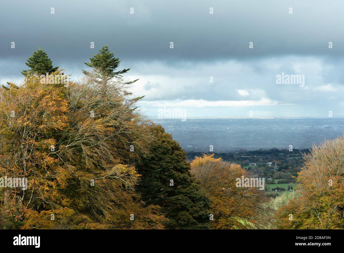 Herbstbäume aus den Dublin Mountains, Regen zieht über die Stadt. Stockfoto