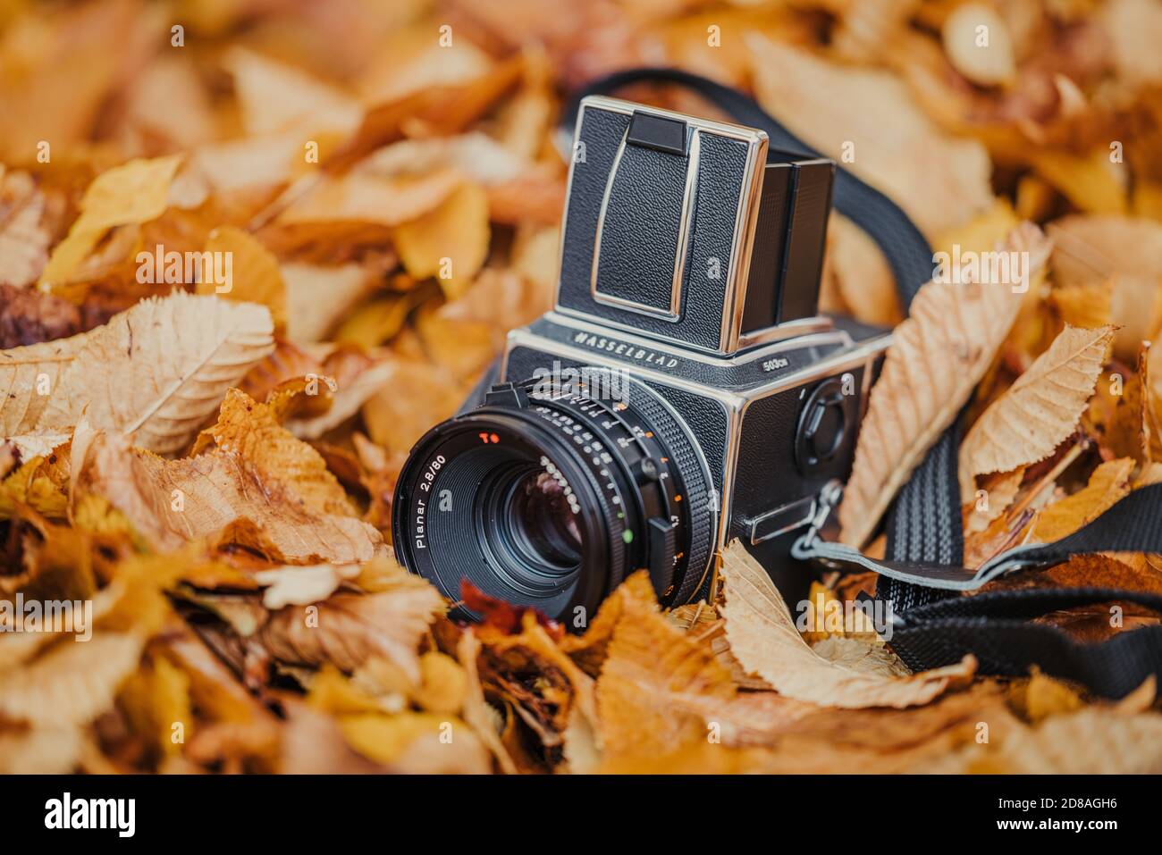 Die schöne Vintage Mittelformat-Filmkamera Hasselblad 5003CW Stockfoto Die schöne Vintage Mittelformat-Filmkamera Hasselblad 5003CW Stockfoto