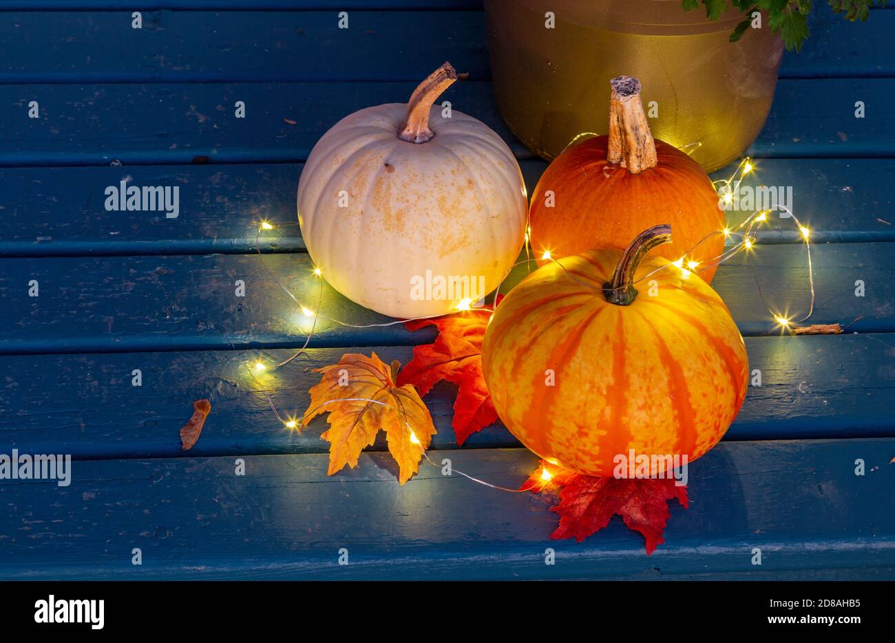 Kleine Herbst Kürbisse schmücken eine Haustür. Stockfoto