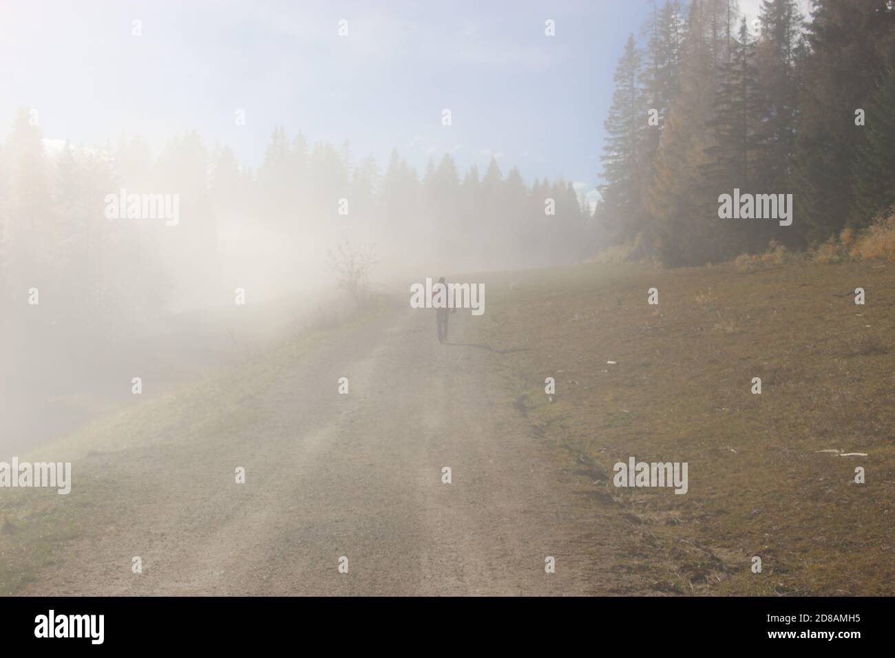 Ein Mann geht in dichtem Nebel einen Hügel hinauf. Auf einem Bergwanderweg, Höhe ca. 1300 m. Hinterstoder, Oberösterreich, Europa. Stockfoto