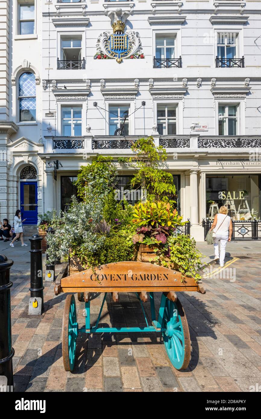 Dekorative Barrow in King Street mit dem Namen Covent Garden, London WC2 an einem sonnigen Tag außerhalb Petersham Nurseries Shop und Café eingeschrieben Stockfoto