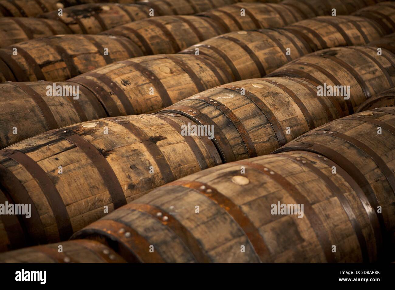 Reihen von Scotch Whisky Fässern in einem Lagerhaus Stockfoto