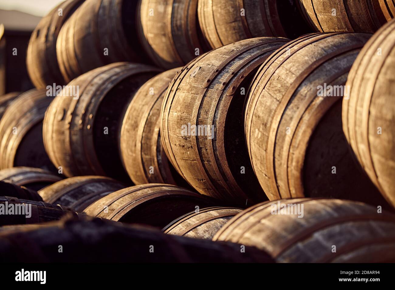 Scotch Whisky Fässer im Abendlicht Stockfoto