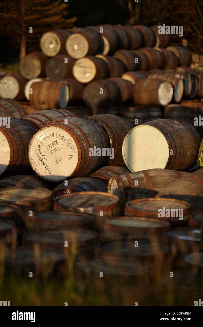 Scotch Whisky Fässer im Abendlicht Stockfoto