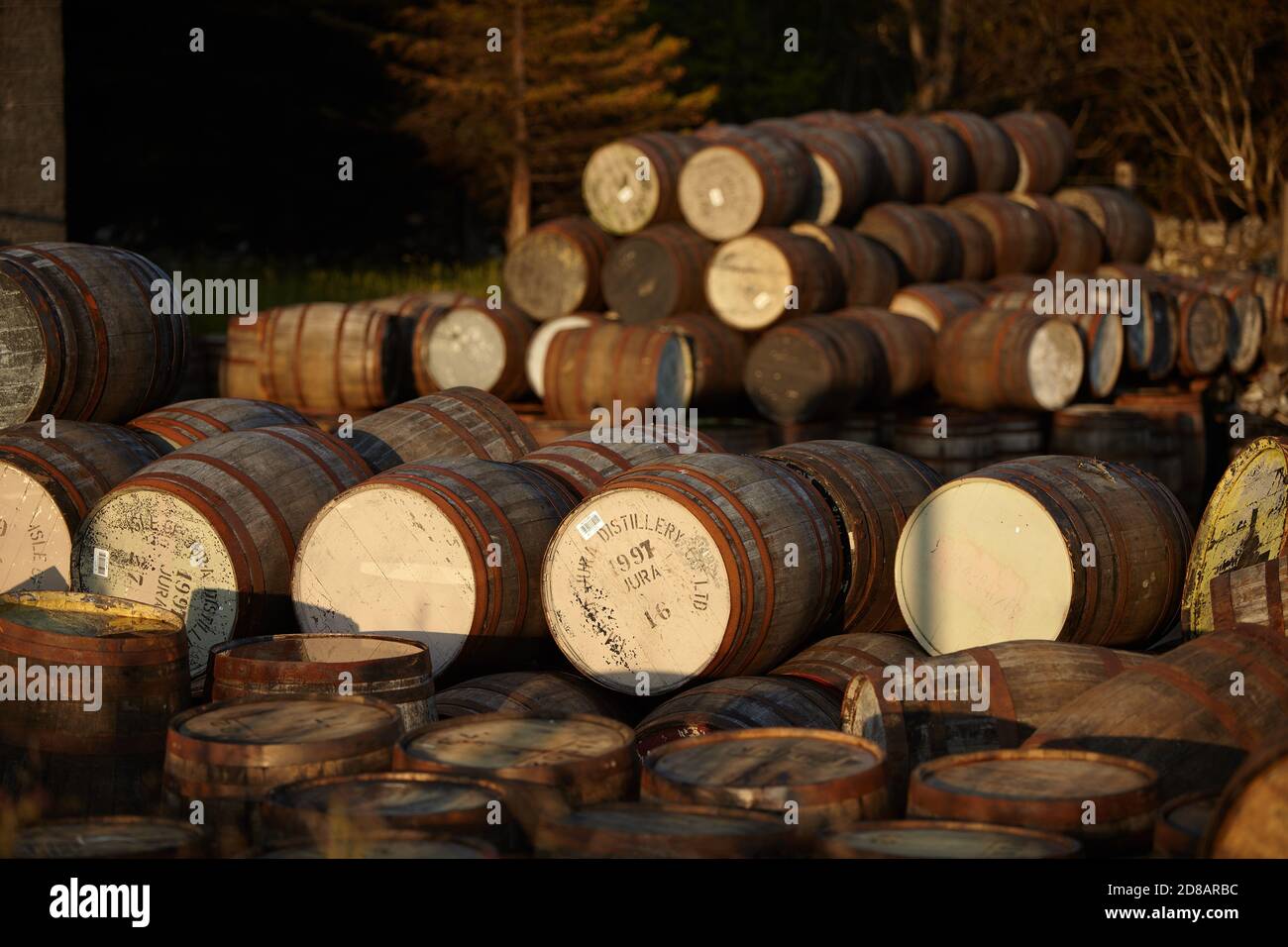 Scotch Whisky Fässer im Abendlicht Stockfoto