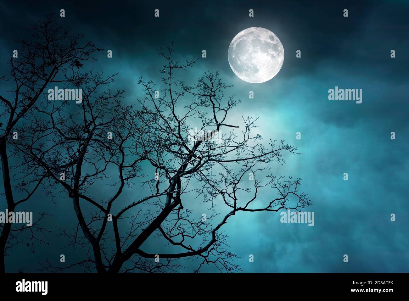 Gruseliger Nachtwald Mit Mond Und Mondschein Nebliger Nebelwald Stockfotografie Alamy