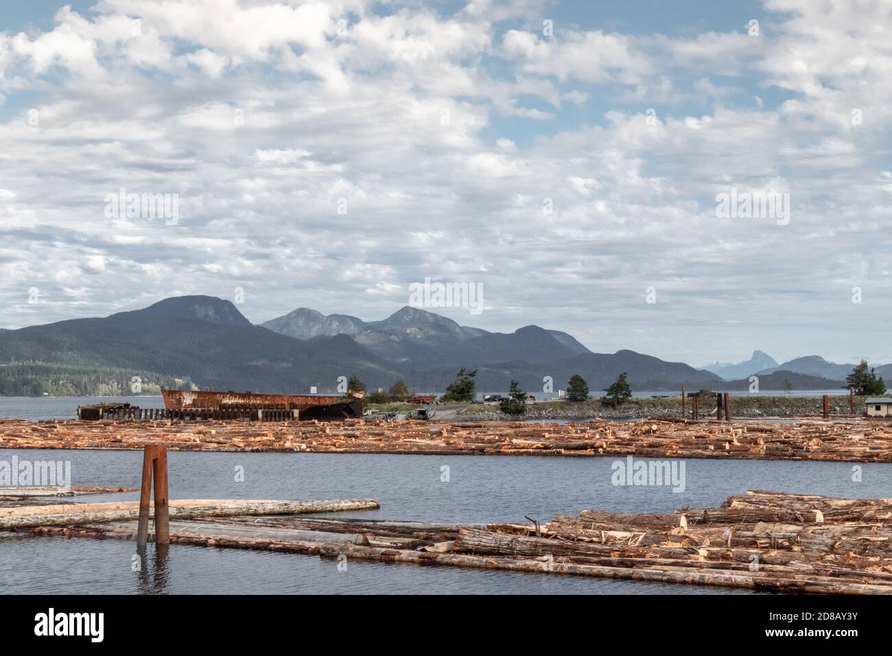 Rohe Baumstämme, die die Queen Charlotte Strain in Sayward, Kanada, mit Bergen im Hintergrund abschweben. Selektiver Fokus. Stockfoto