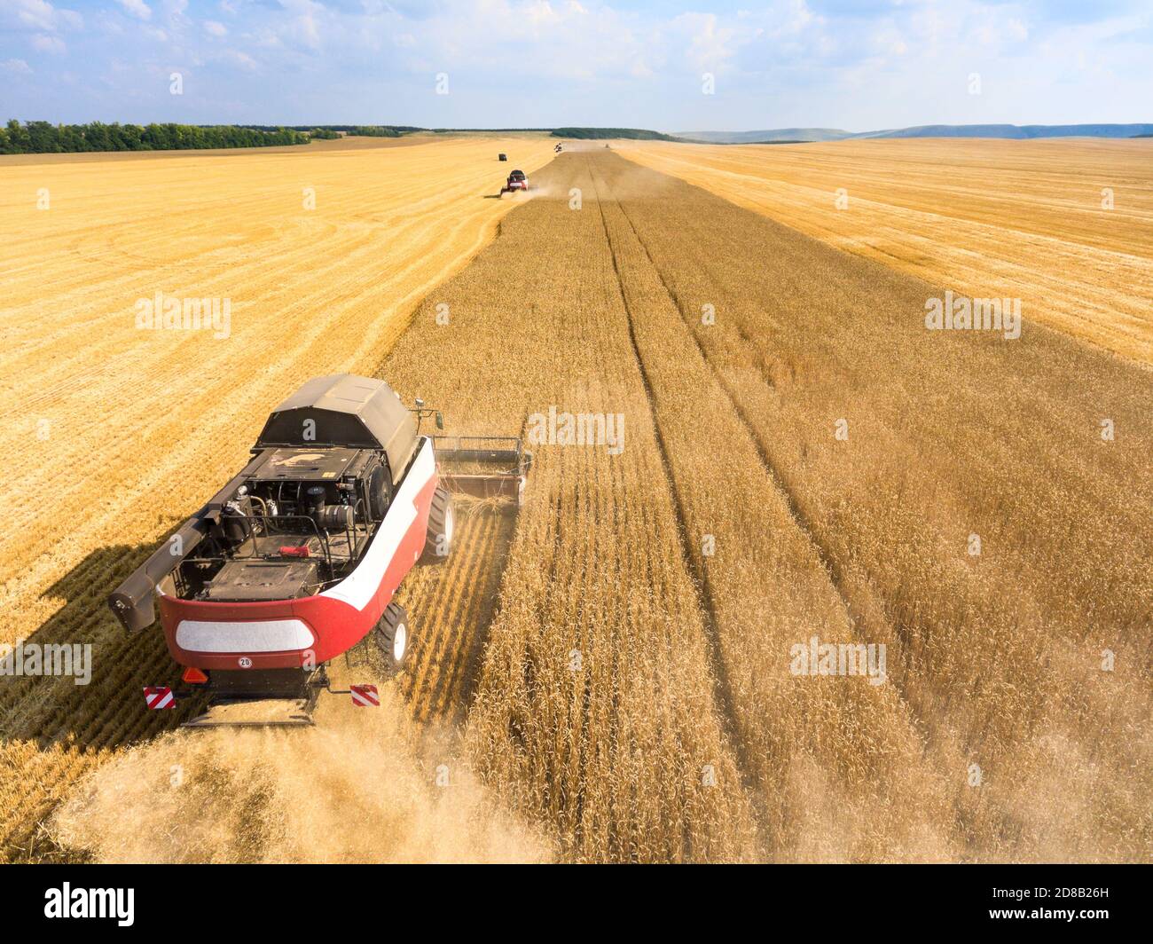 Getreideerntemaschinen fahren auf goldenen Weizenfeldern, Rückansicht, Ernte im Sommer gelben Weizen Stockfoto