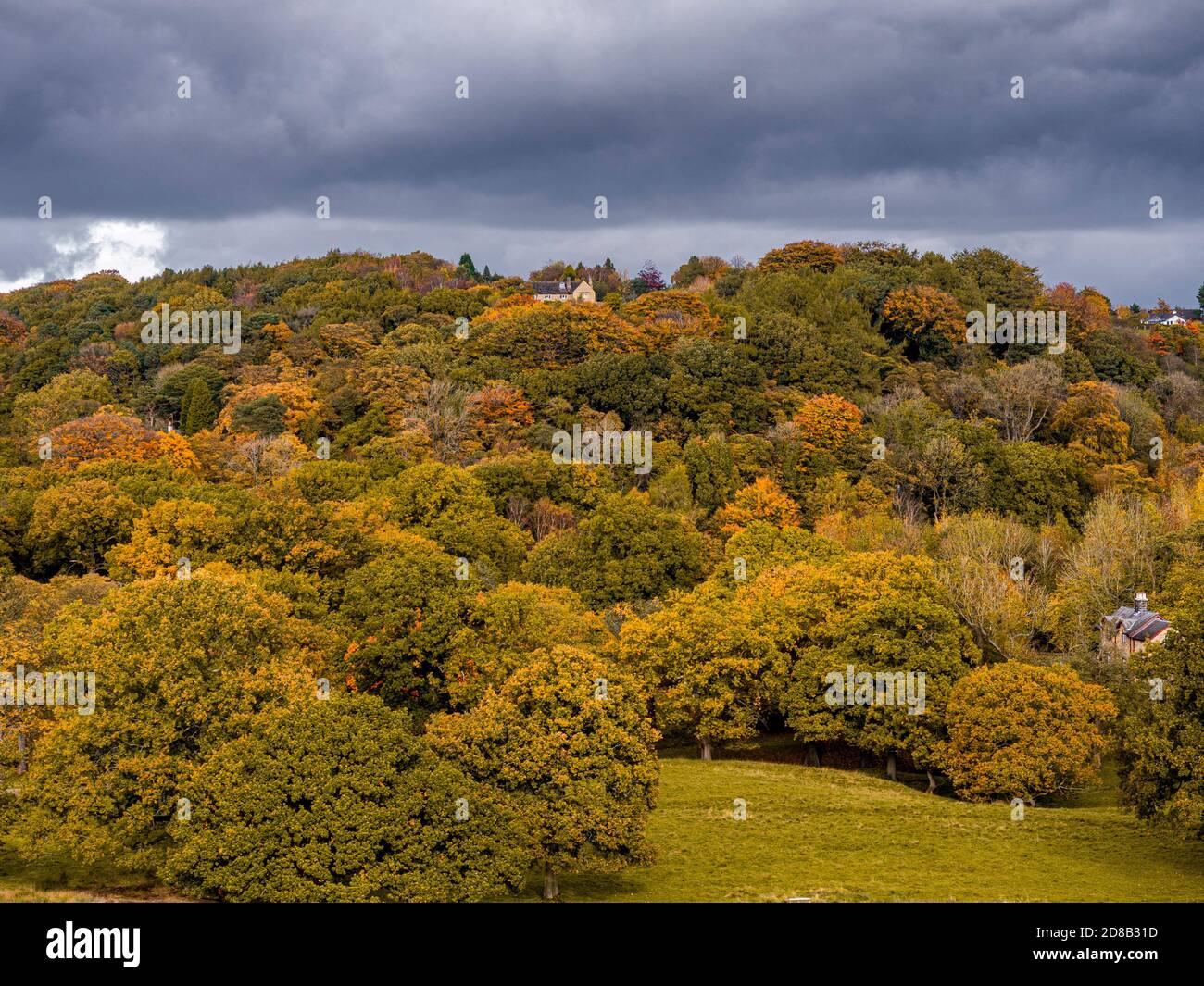 Herbstfarbe bei Disley Bank Wood, gesehen vom Lyme Park, Stockport, Cheshire. Stockfoto