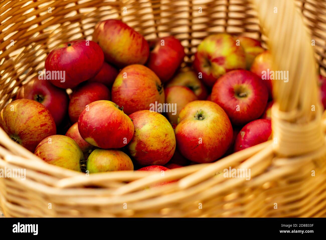 Apfelkorb Stockfoto