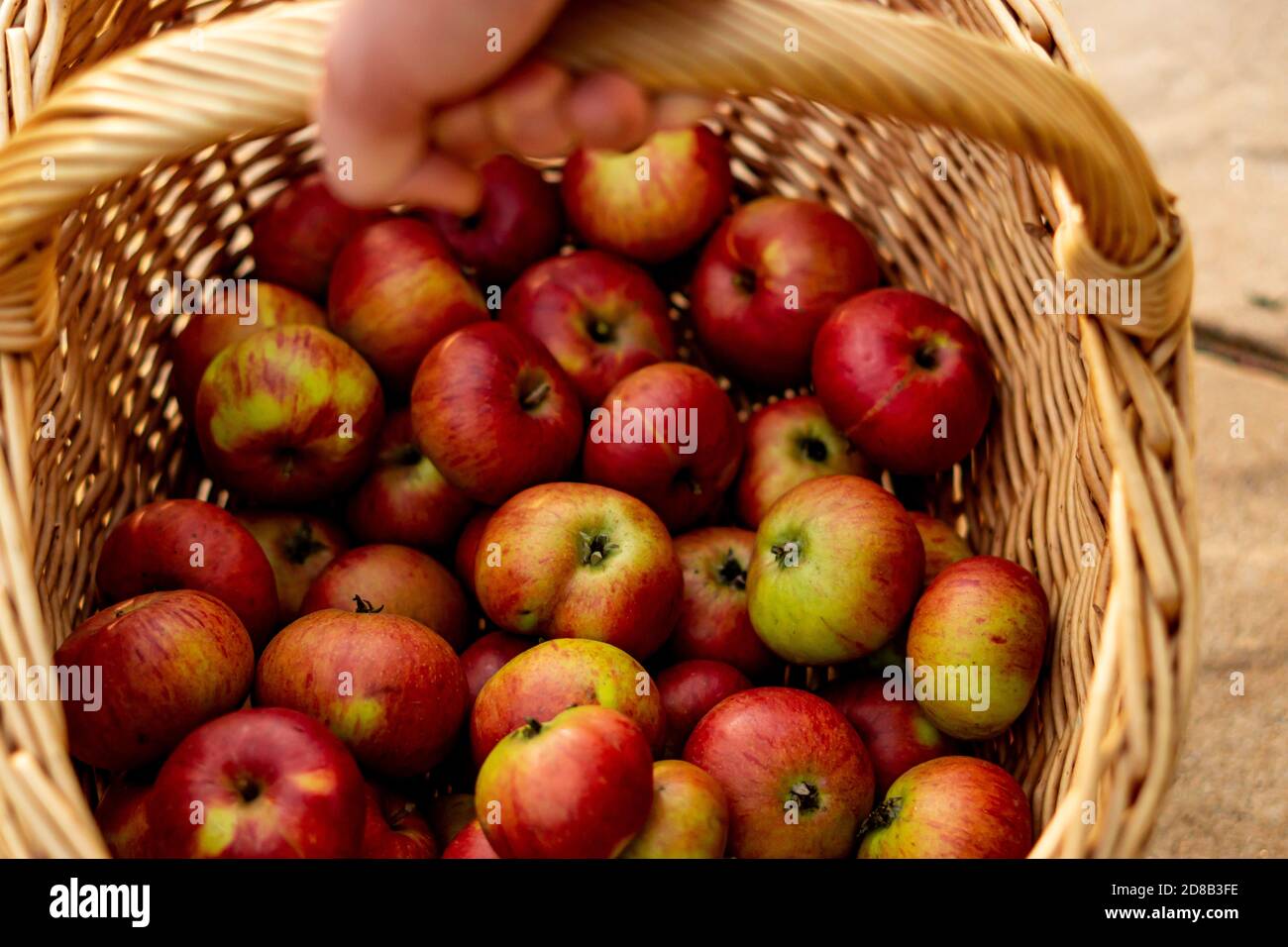 Apfelkorb Stockfoto