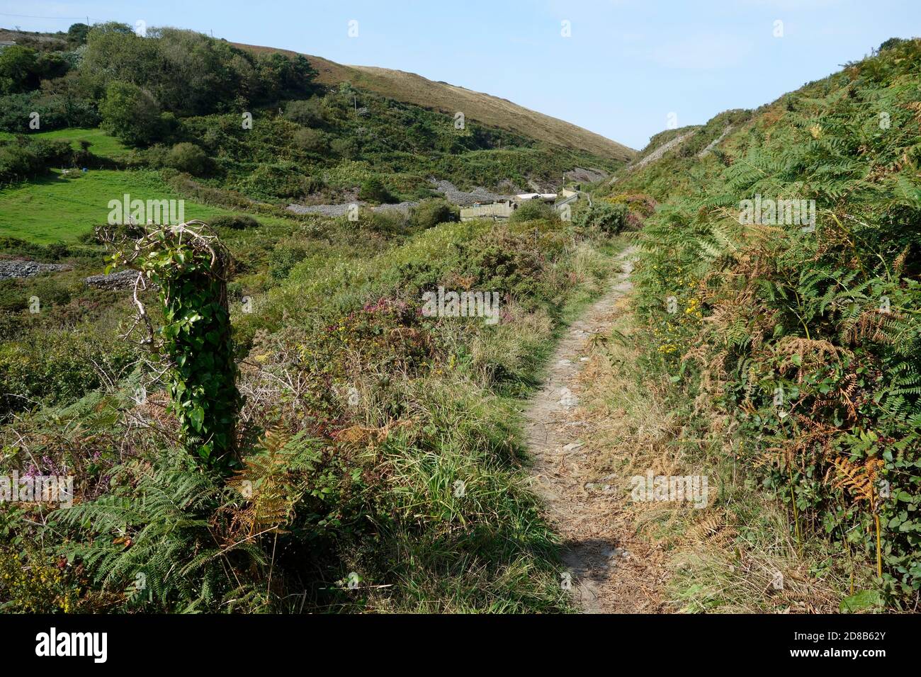 Trevellas Combe Valley, North Cornwall, England, Großbritannien im September Stockfoto