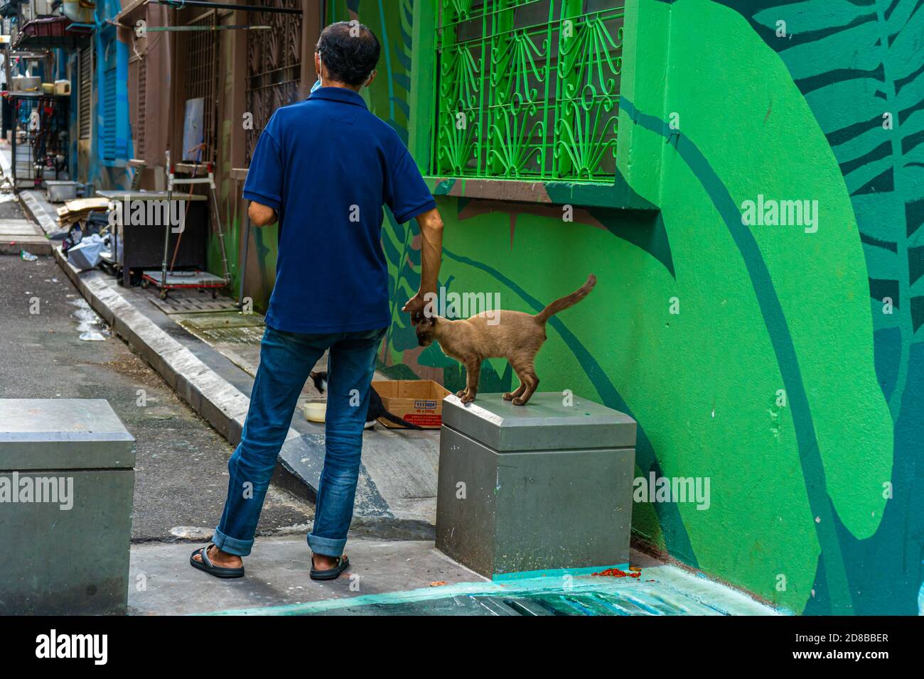 Ein Mann kommuniziert mit einer obdachlosen Katze auf der Straße. Obdachlose Tiere auf einer Stadtstraße. Stockfoto