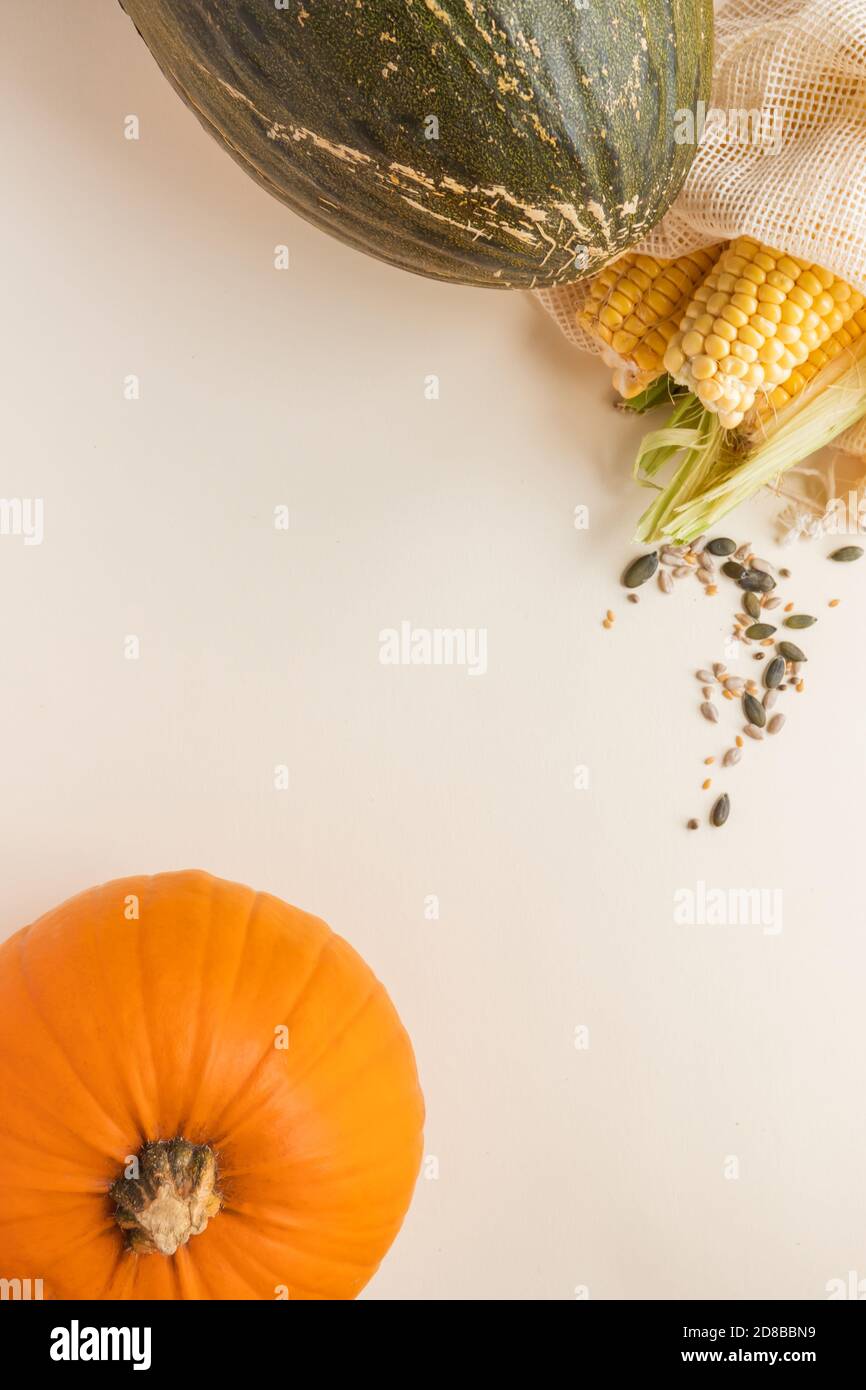 Herbst Erntehintergrund mit Kopierfläche: Bio Kürbis, Mais, Melone und Samen in wiederverwendbaren Baumwollnetztüten auf cremigem Hintergrund Stockfoto