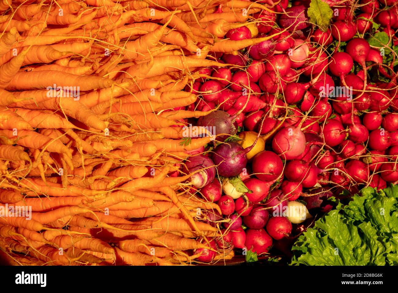 Karotten und Radieschen, Farmer's Market, E USA, von James D Coppinger/Dembinsky Photo Assoc Stockfoto