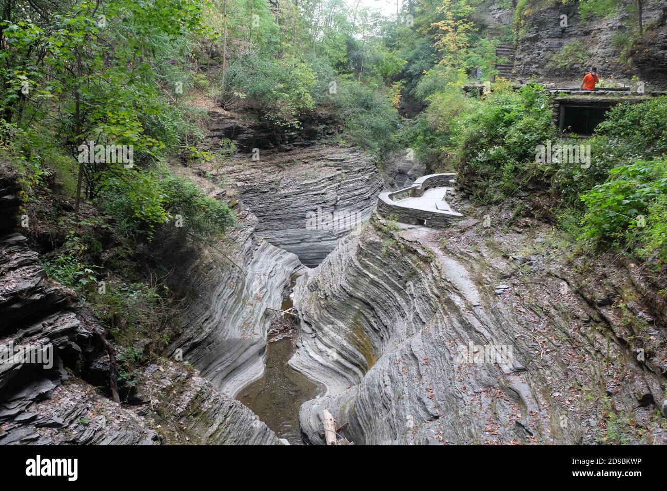 Watkins Glen State Park, NY Stockfoto