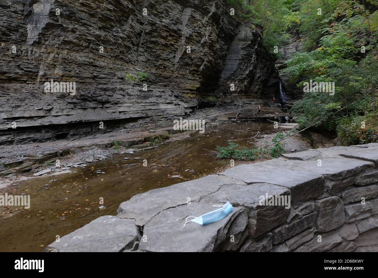 Watkins Glen State Park, NY Stockfoto