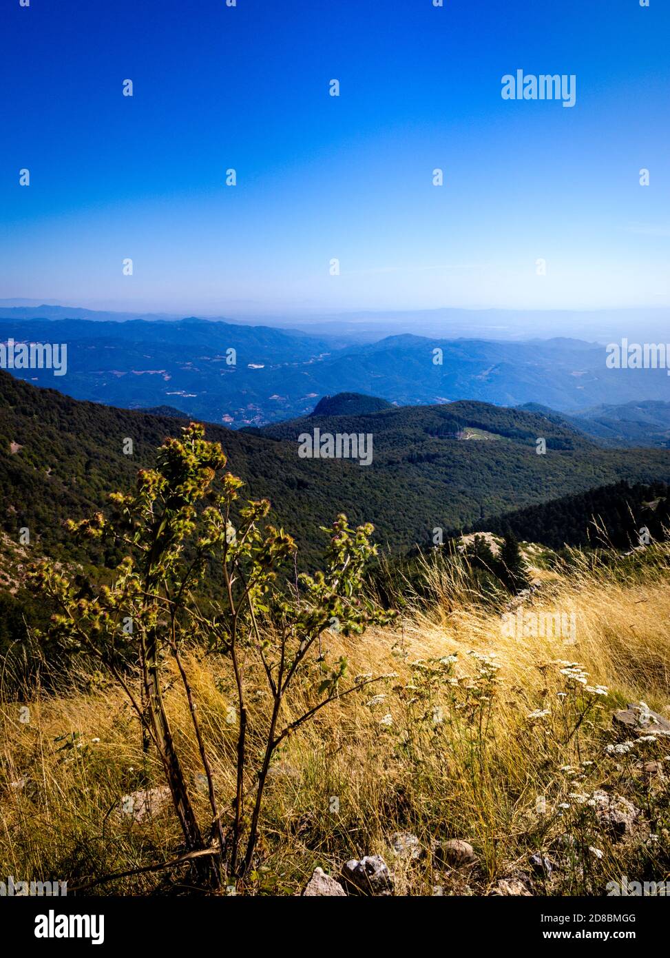 Vertikale Aufnahme des Berges Turo de l'Home Stockfoto