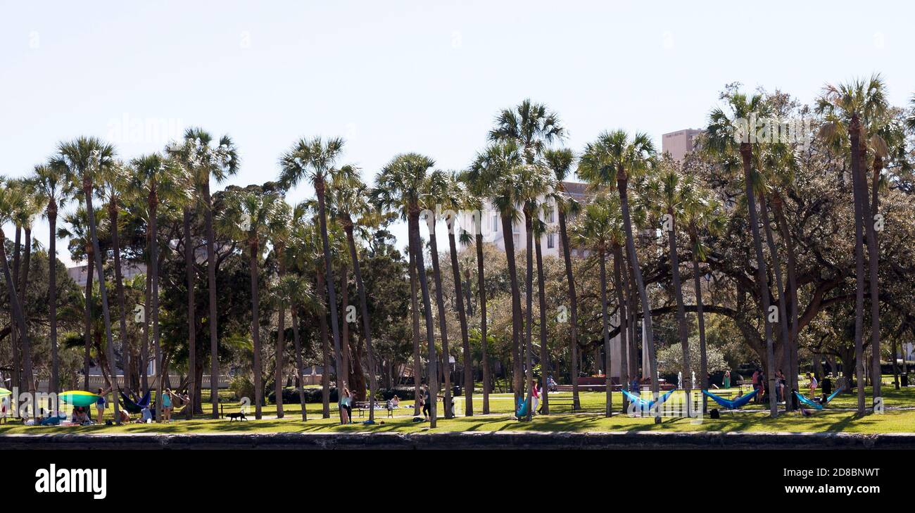 Studenten entspannen sich auf dem Campus der University of Tampa in Florida. Stockfoto