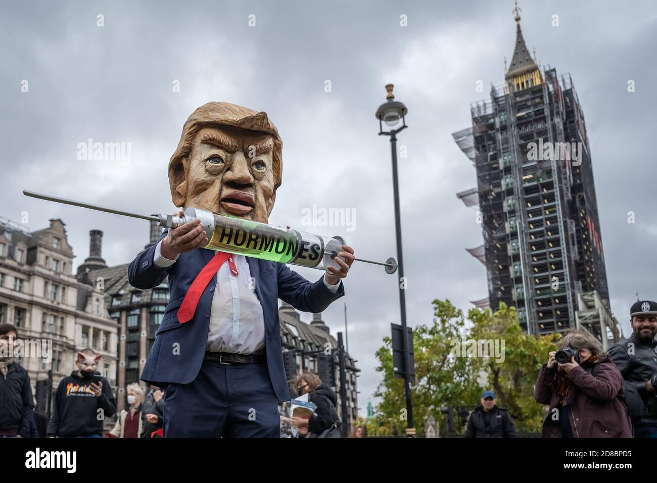 ‘Stop the US Trade Deal’ Protest auf dem Parliament Square mit einer Donald Trump Karikatur, die versucht, eine Pantomime-Kuh mit Wachstumshormonen zu injizieren, Großbritannien. Stockfoto