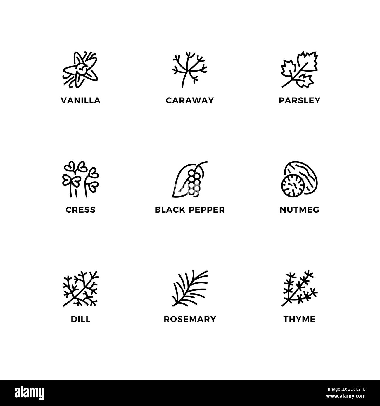 Vektor-Set von Design-Elementen, Logo-Design-Vorlage, Symbole und Abzeichen für Kräuter und Gewürze. Liniensymbole gesetzt, bearbeitbare Kontur. Stock Vektor Vektor-Set von Design-Elementen, Logo-Design-Vorlage, Symbole und Abzeichen für Kräuter und Gewürze. Liniensymbole gesetzt, bearbeitbare Kontur. Stock Vektor