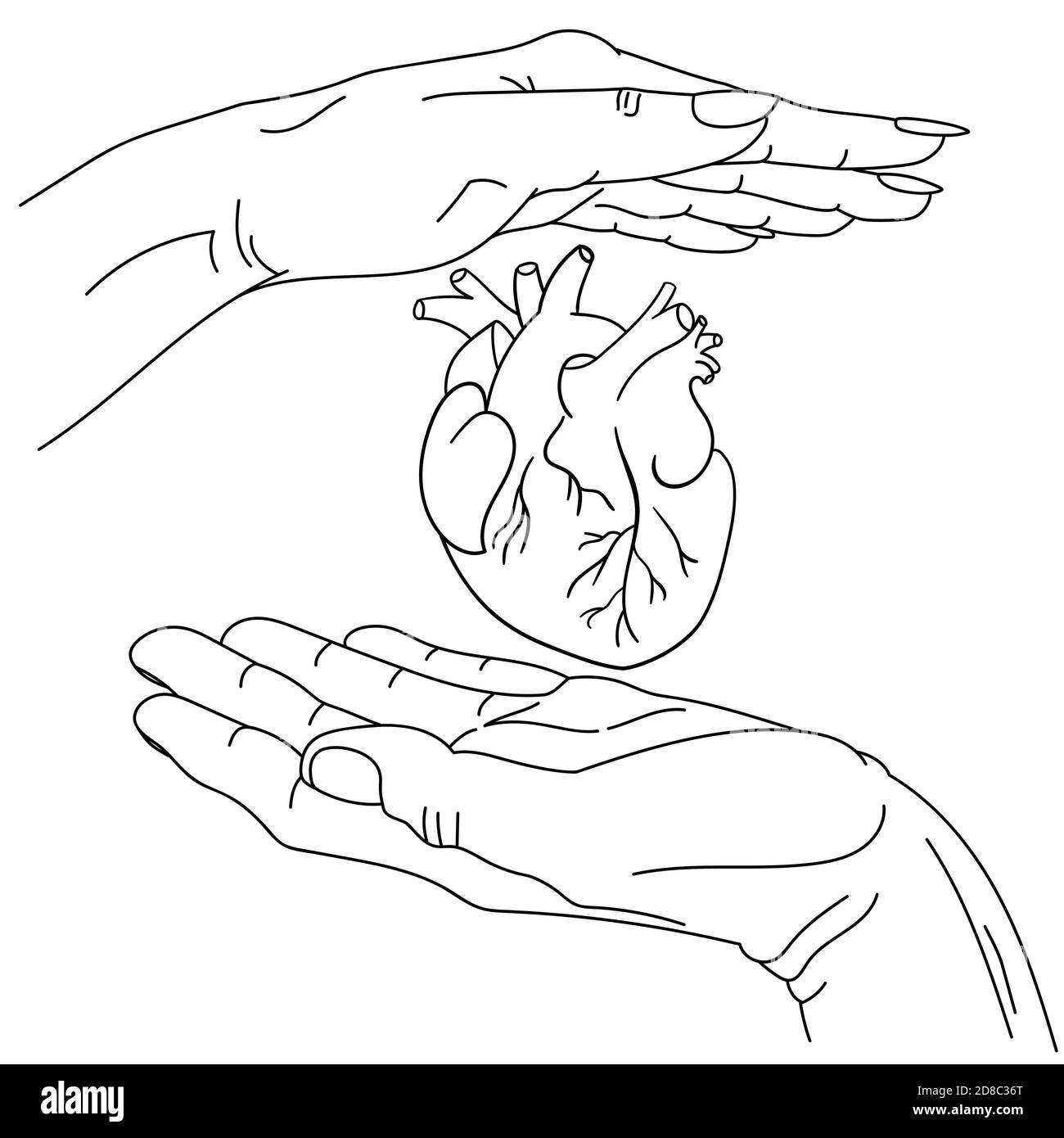 Männliche und weibliche Hand und anatomisches Herz zwischen ihnen. vektor-lineart-Grafik, handgezeichnet. Symbolisches Bild von Pflege und Schutz, Liebe. Konzeptkunst für Medizin, Kardiologie, Herzgesundheit und Unterstützung. Stock Vektor