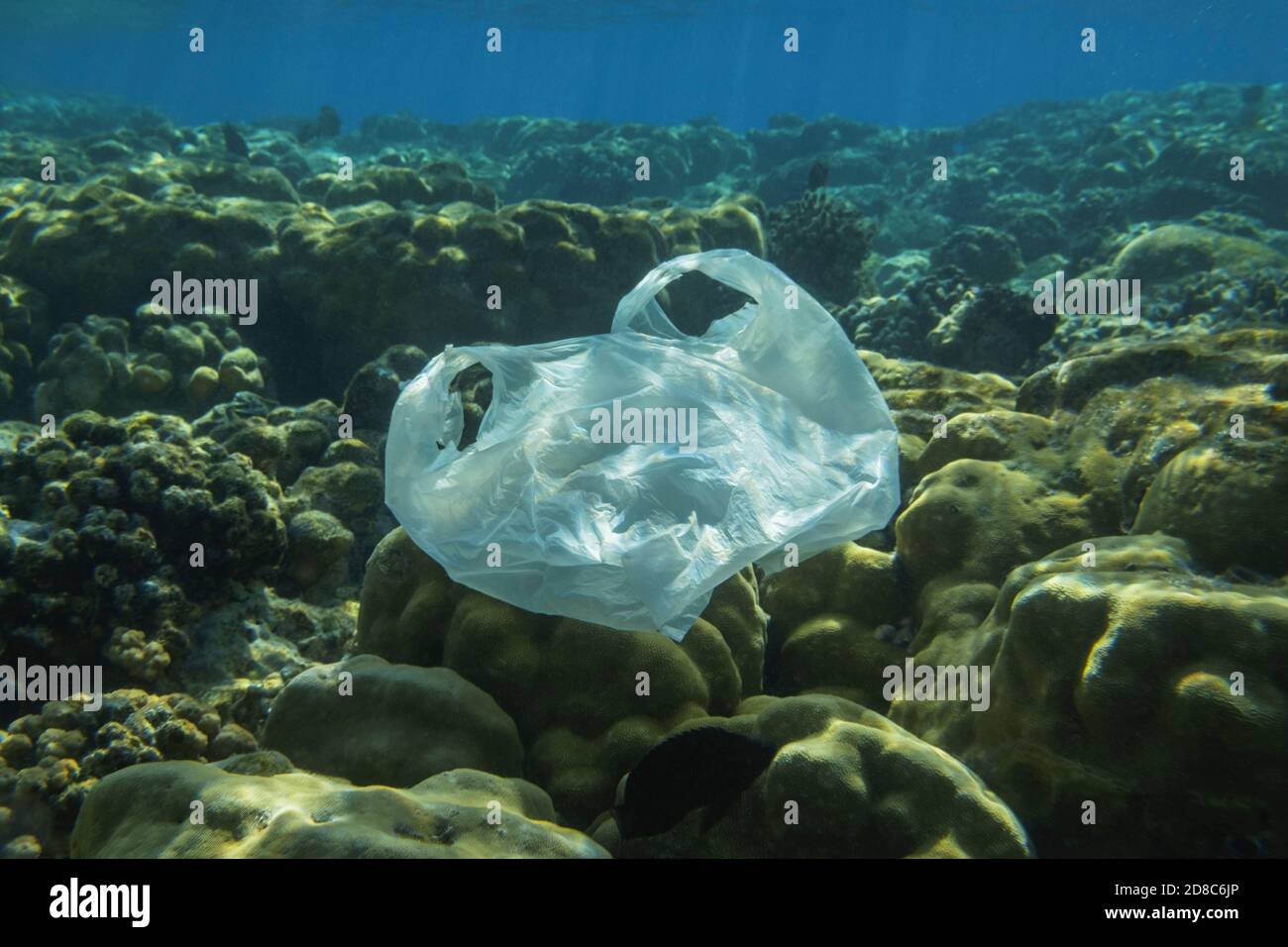 Gebrauchte weiße Plastiktüte langsam treiben unter Wasser über Korallenriff in den Sonnenlichtern. Plastikmüll unter Wasser. Plastikmüll Umweltpolluti Stockfoto