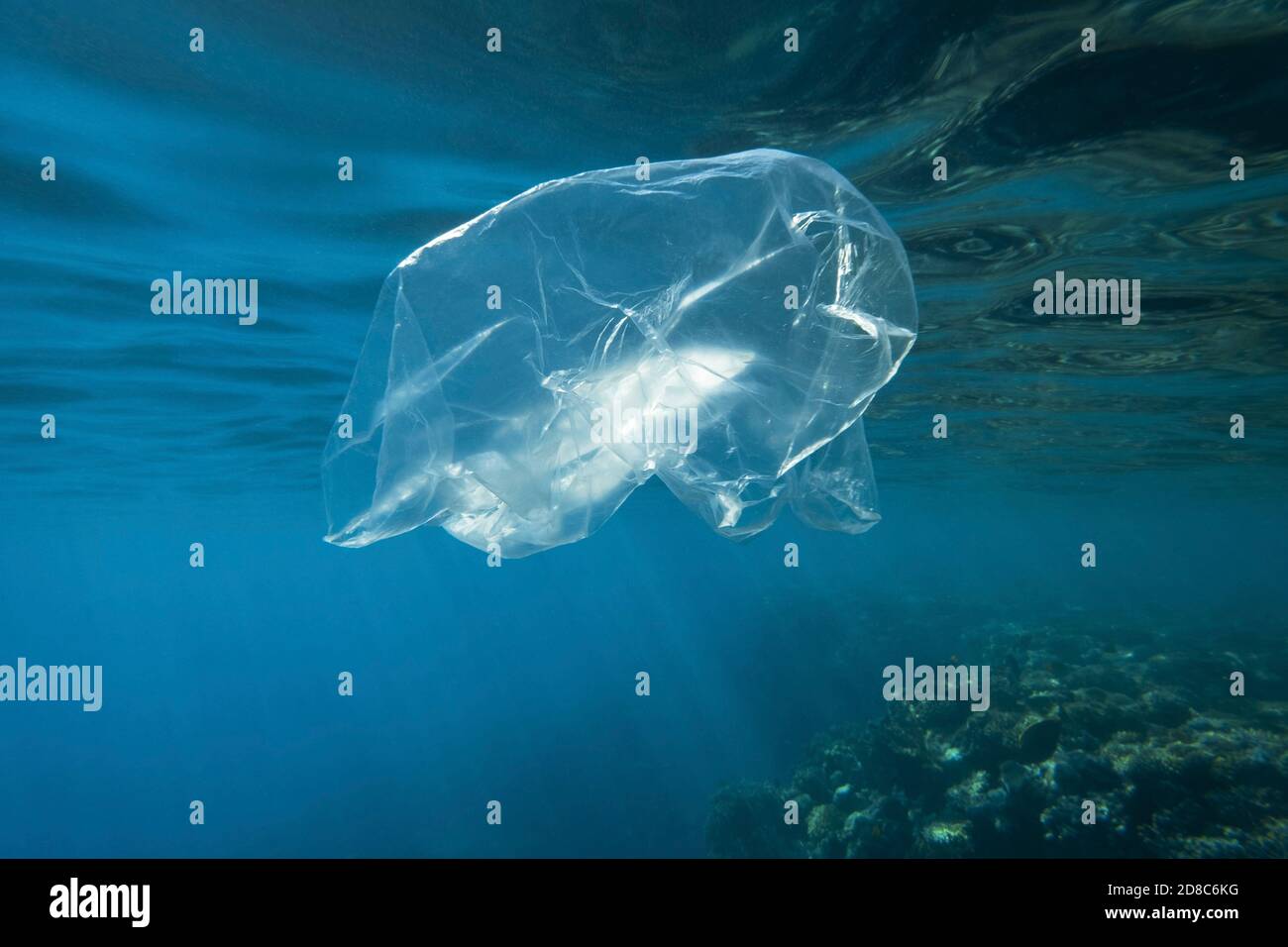 Gebrauchte transparente Plastiktüte langsam treiben unter Wasser über Korallenriff in der Sonne Lichter. Plastikmüll unter Wasser. Plastikmüll Umwelt po Stockfoto