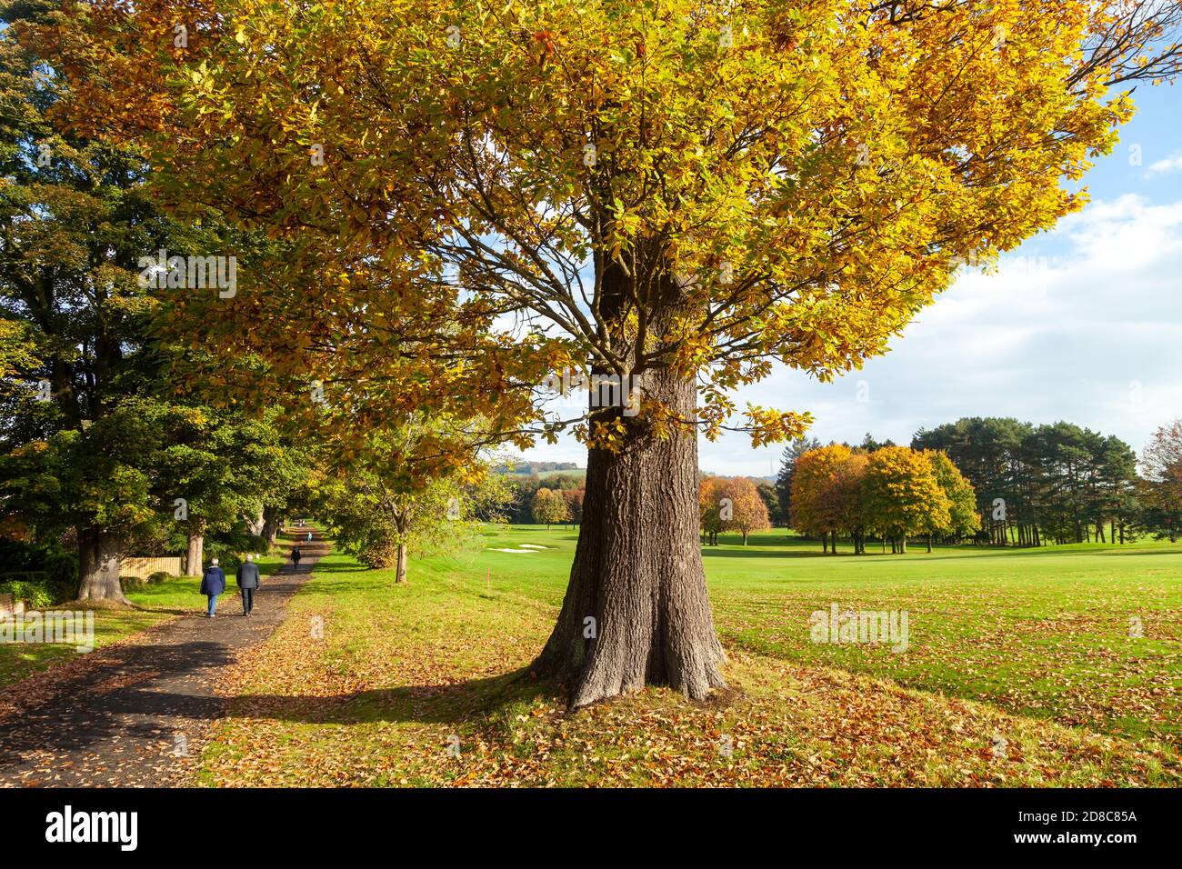 Ein schöner Herbsttag in Aberdour entlang des Fife Coastal Path neben dem Aberdour Golf Course. Stockfoto