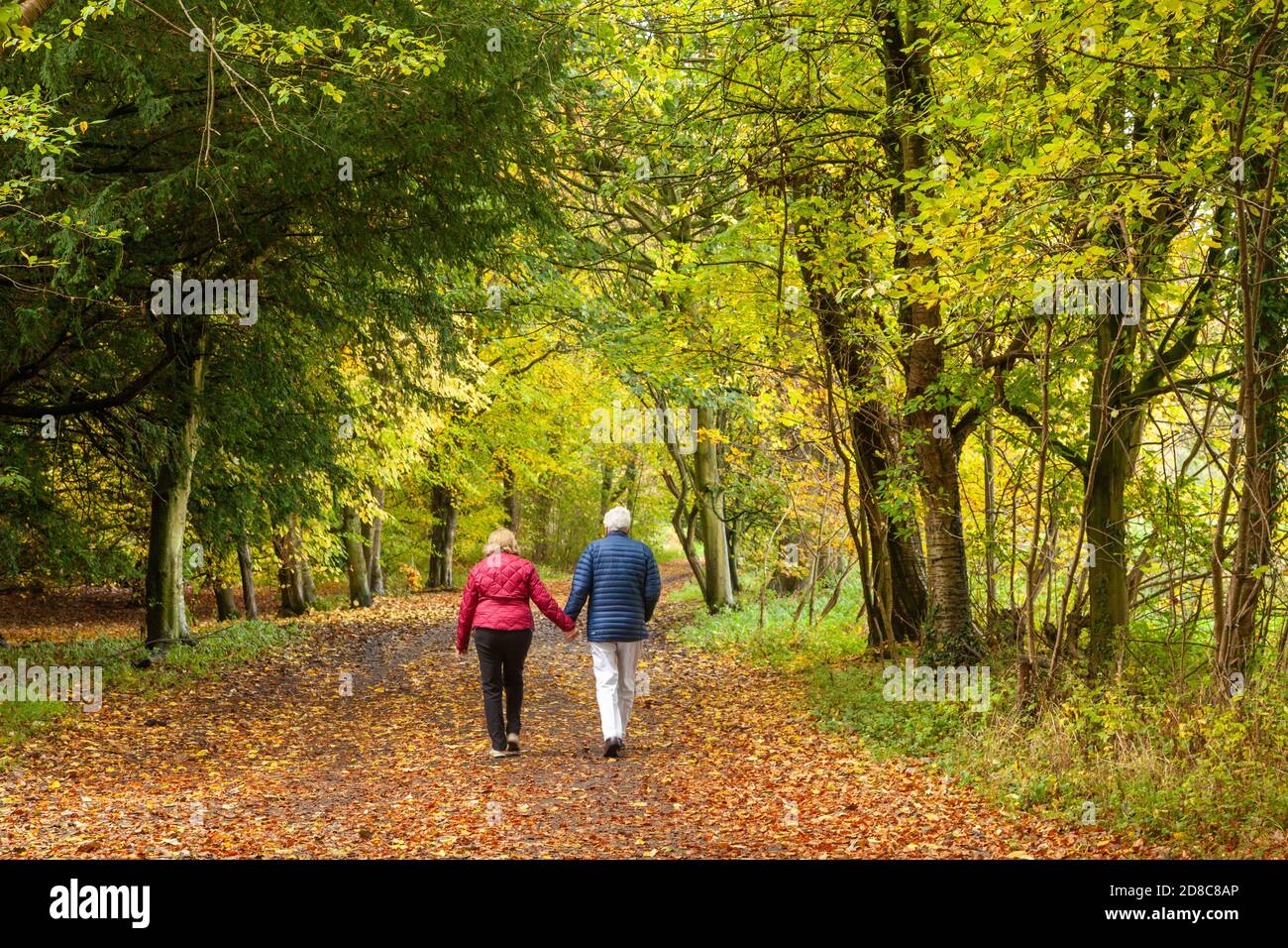 Ein pensionierter Pärchen, der in Herbstfarben auf einer Spur spazierengeht Stockfoto