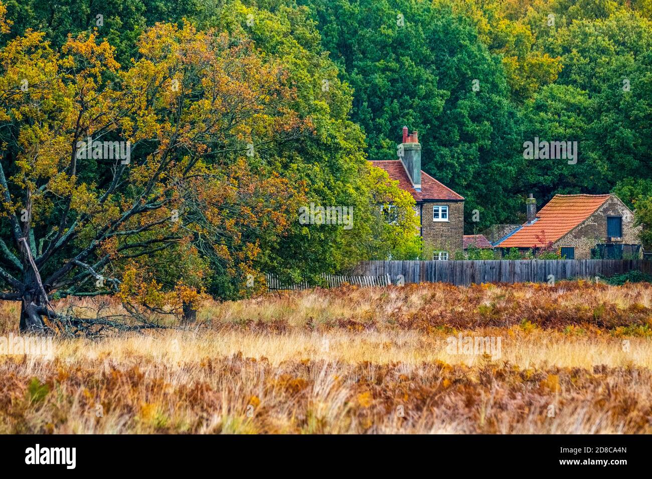 Landhaus im Richmond Park im Herbst Stockfoto