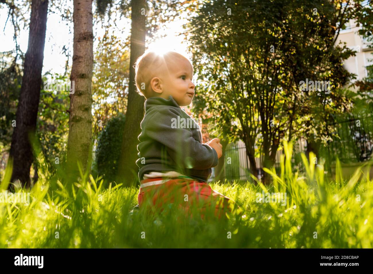 Baby sitzt auf Gras Stockfoto
