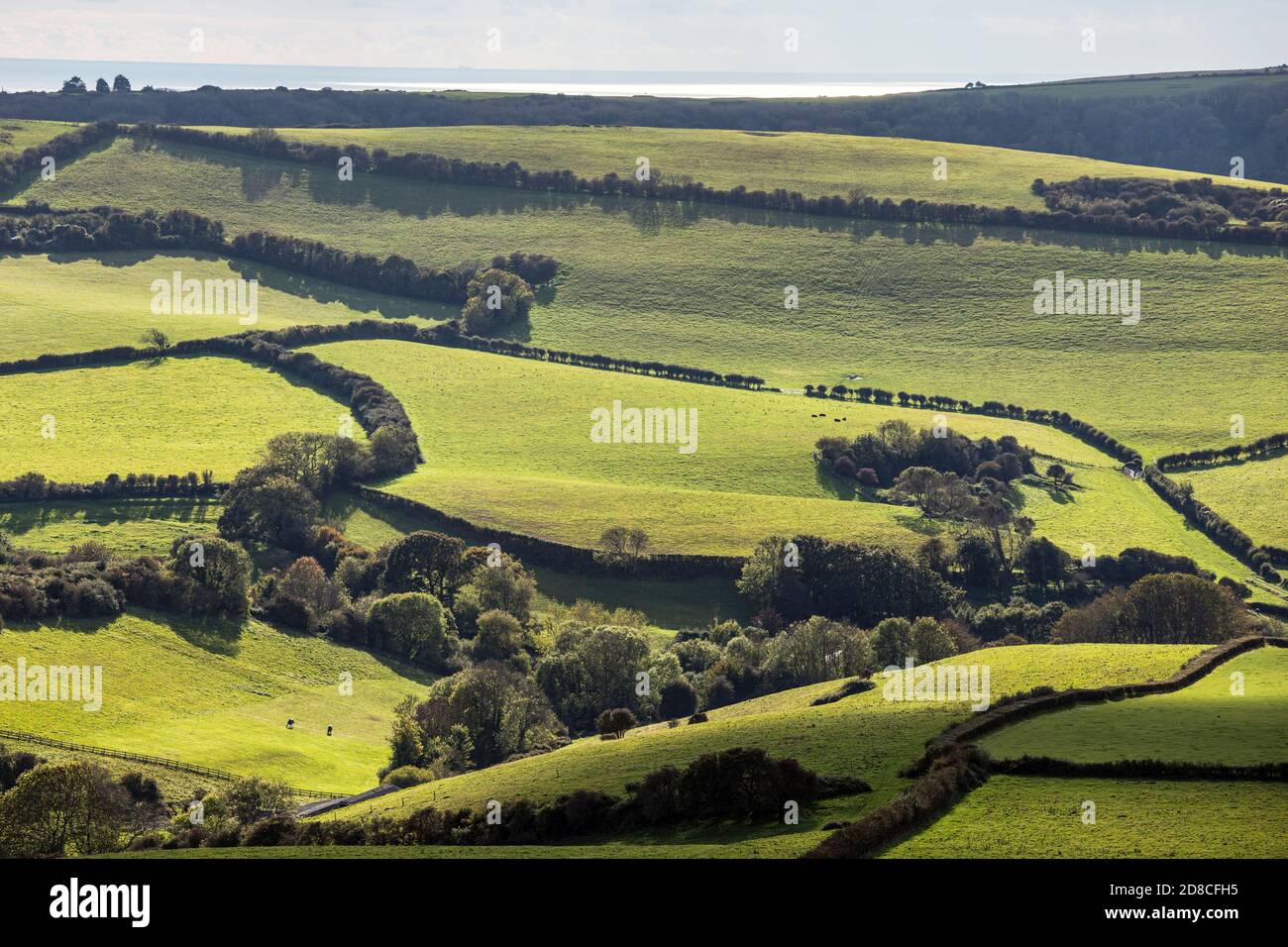 Blick von Luccombe Down in Richtung Wroxall Down, Isle of Wight Stockfoto