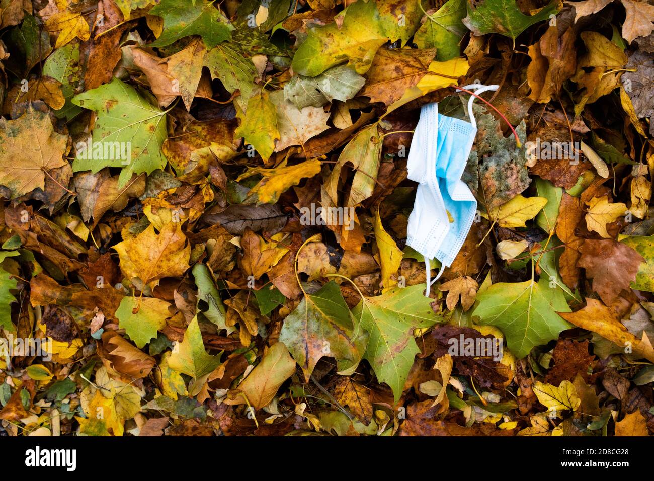 29. Oktober 2020, Baden-Württemberg, Freiburg: In den Blättern liegt ein gebrauchter Mundnasendeckel. Foto: Philipp von Ditfurth/dpa Stockfoto