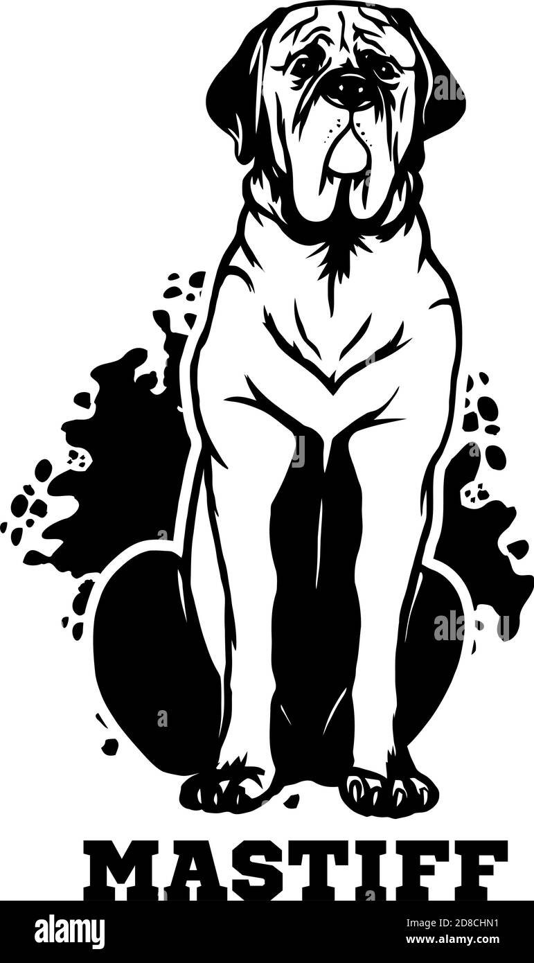 Mastiff Dog sitzt mit der Zunge aus. Element des Designs. Stock Vektor