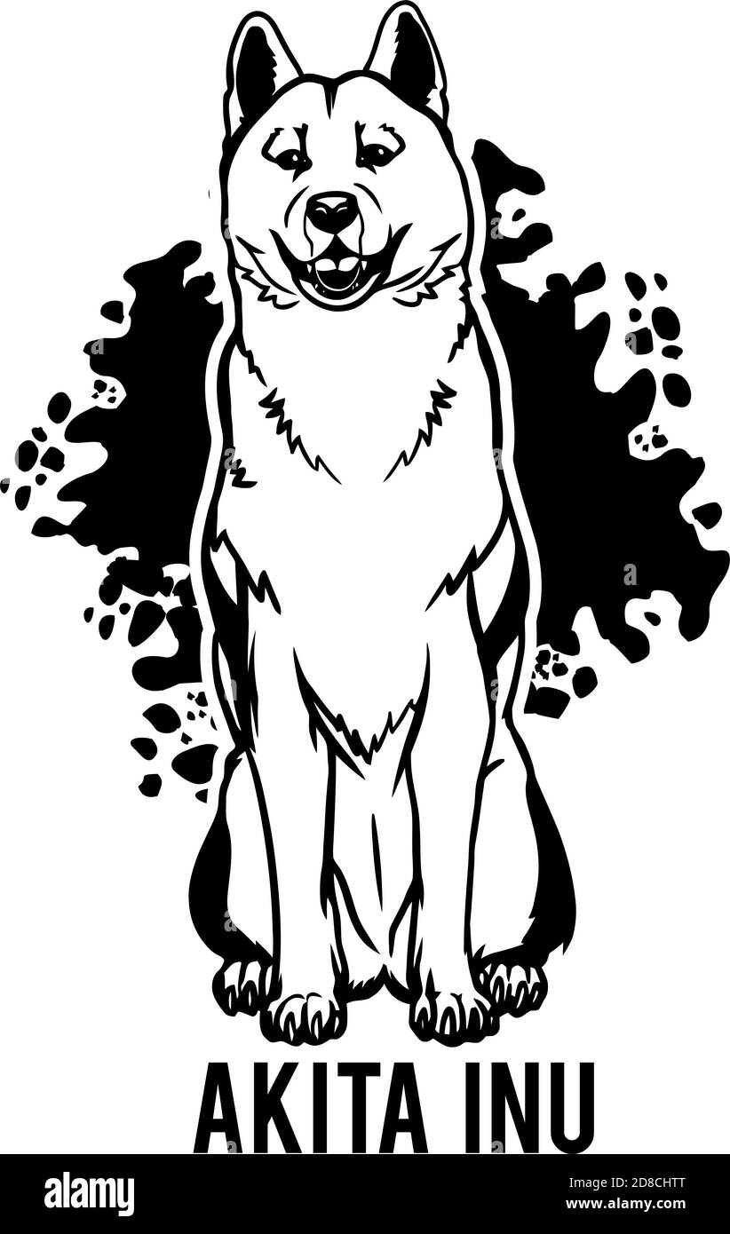 Akita Inu Dog sitzt mit der Zunge heraus. Element des Designs. Stock Vektor