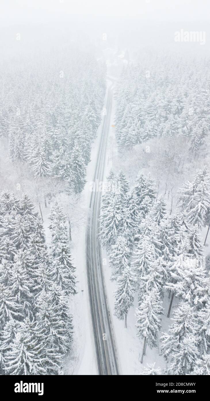 Weg durch schneebedeckten weißen Wald in Deep Winter Storm Stockfoto