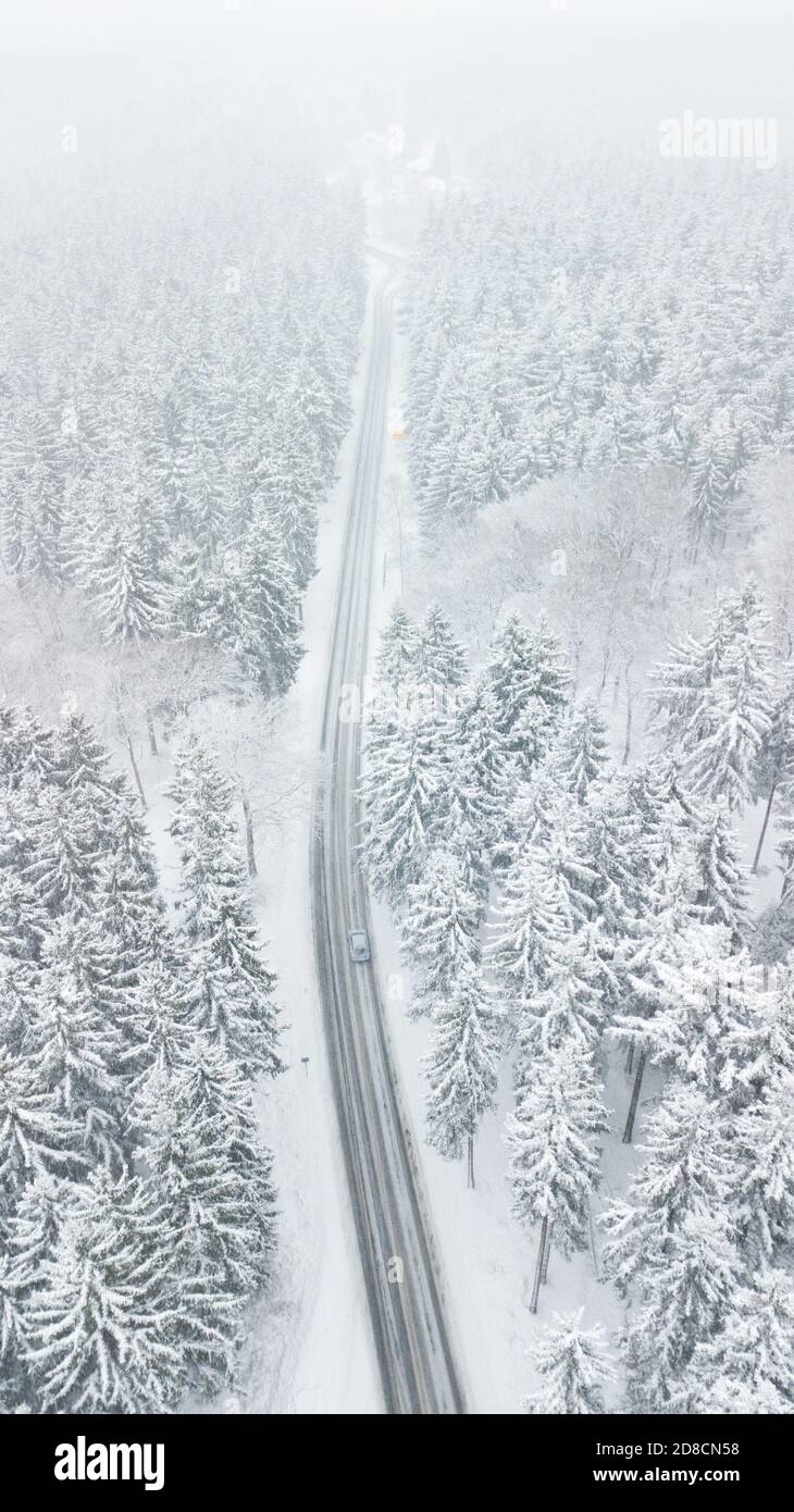 Weg durch schneebedeckten weißen Wald in Deep Winter Storm Mit Auto auf der Straße Stockfoto