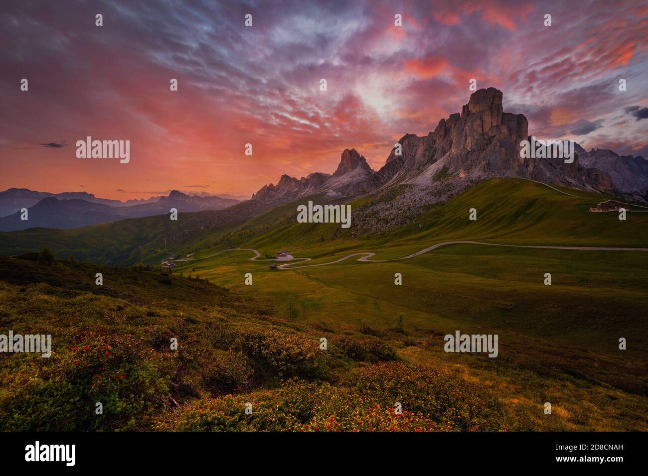 Sonnenuntergang im Sommer am Passo di Giau mit Blumen im Vordergrund, Dolomiten, Italien Stockfoto