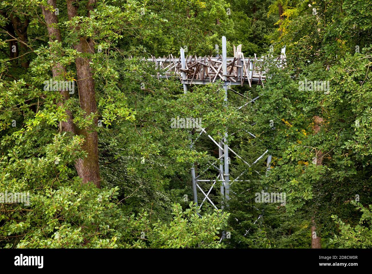 Baumkronengang am Kurwald, Deutschland, Nordrhein-Westfalen, Bad Iburg Stockfoto