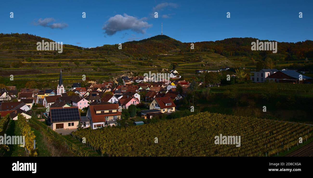 Panoramablick im herbstlichen Nachmittagslicht des kleinen Dorfes Bickensohl in Kaiserstuhl, Deutschland. Stockfoto