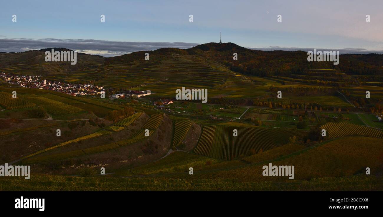 Panoramablick über ein Tal mit terrassierten Weinbergen in Kaiserstuhl, Deutschland mit kleinem Dorf Oberbergen und Gipfel Totenkopf. Stockfoto
